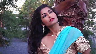 1550 pakistani porn videos
